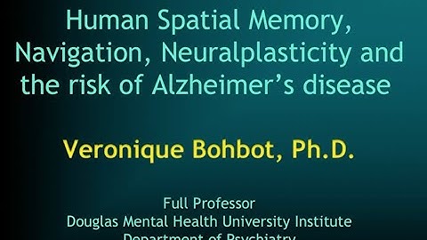 Human Spatial Memory, Navigation, Neuralplasticity and the risk of AD