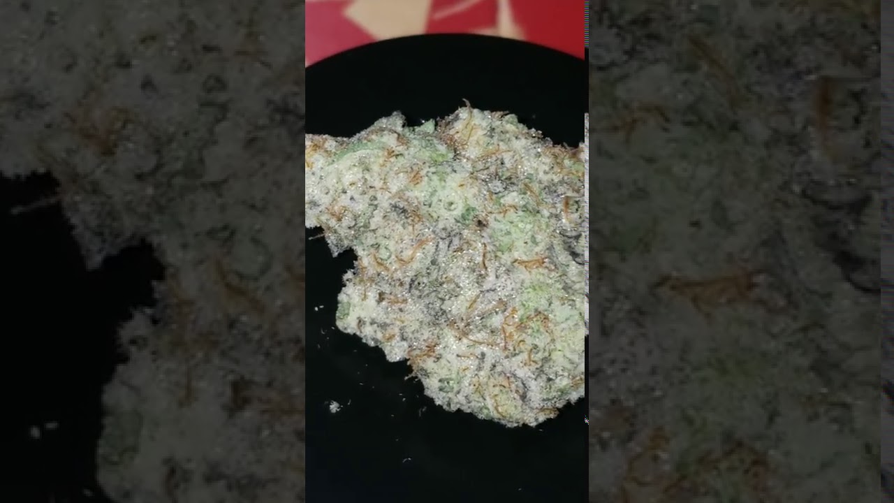 The Fire Society "MAC 1" Cannabis Strain Review