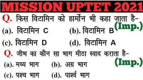 UPTET 2021 || Junior Super TET EVS Most Important Questions || Super TET