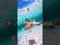 😘This Island Is Cheaper Than The Maldives! #travel #youtubeshorts #shorts