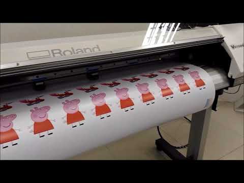 Plotter de impresión y corte Roland VersaCamm SP-540i, Impresora