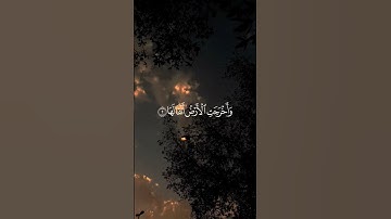 القرآن الكريم راحة نفسية       #القرآن_الكريم #القران_الكريم #السعودية #المغرب