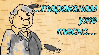 Смешной анекдот про  гаишника и несколько коротких жизненных анекдотов