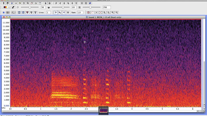 Andrea Dahl Gentoo Penguin Call Analyzation Screen...