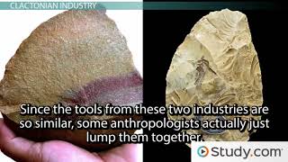 Stone Tool Industries of the Paleolithic Age