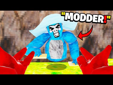 I Modded In Gorilla Tag and Challenged a Pro to a 1V1