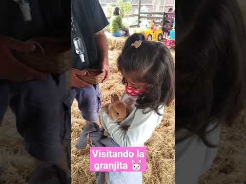 Video Visitando La Granja Por Luna Mia