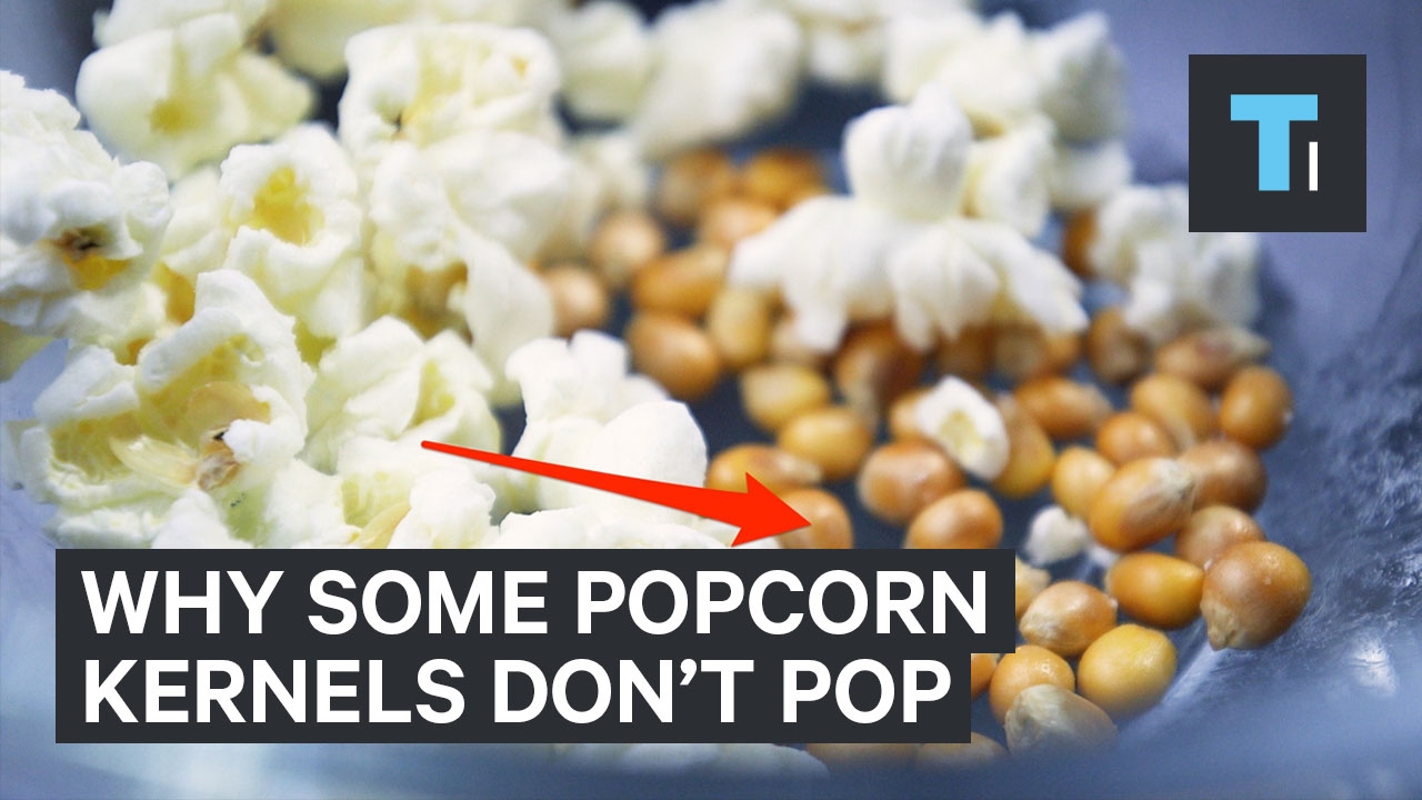 Why of the kernels in don't pop - YouTube