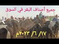 اسعار البقر الوالد والعشر والبكاري اول عشر بسوق السبت اليوم ١٧/ ٦/ ٢٠٢٣م