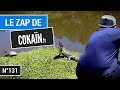 Le Zap de Cokaïn.fr n°131