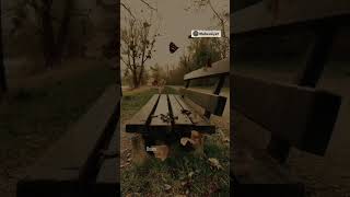 Ben Bir Eylül, Sen Haziran / Ümit Yaşar Oğuzcan Resimi