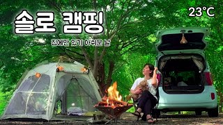 🏕️가장 완벽한 계절에 강아지와 떠난 숲속 힐링 캠핑 (+갑오징어·꽃게 구이·오징어 볶음 먹방🦀)/ 솔로캠핑/ 88  screenshot 5