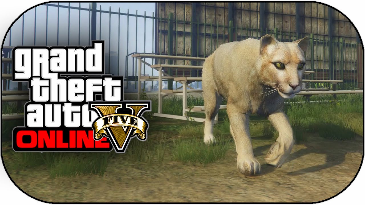 GTA 5 PS4 Next Gen - Play As Mountain Lion,Dog,Wolf & More New Peyote Locations 