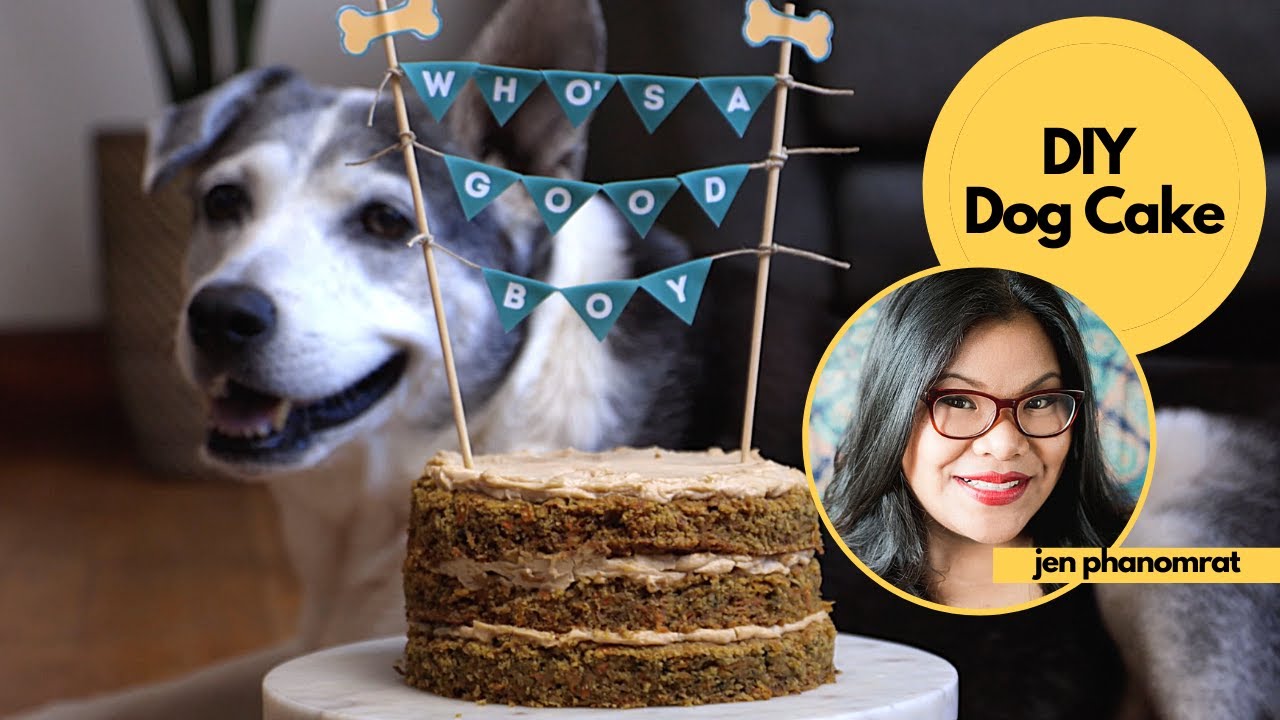 Treat Your Pup to a DIY Dog Cake & Photo | Tastemade