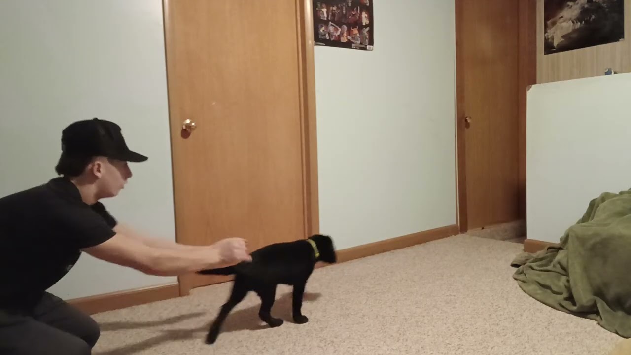 DAY 7 ON THE ROAD TO DUCKS!!!