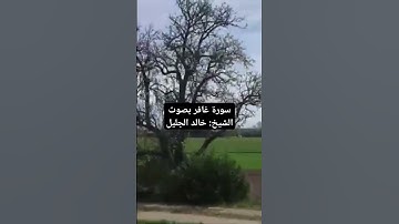 سورة غافر بصوت الشيخ خالد الجليل 🤍 #اكسبلور #المصحف #لايك #دويتو #تيك_توك #قرآن #حالات_واتس #متابعه