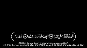 سورة القيامة مكتوبة كاملة بدون صوت بشاشة سوداء للمونتاج| 🌿Surah al Qiyamah black ground Screen