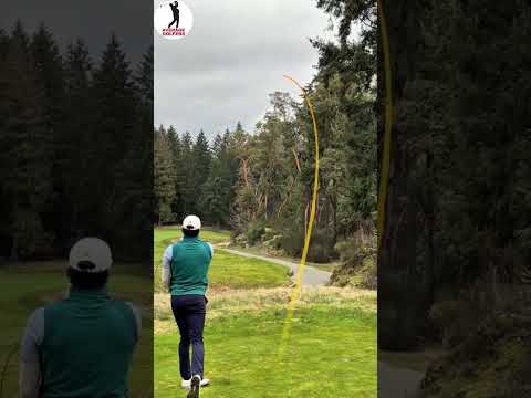 Play your shot!