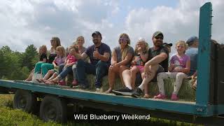 Wild Blueberry Weekend 2024 / CC