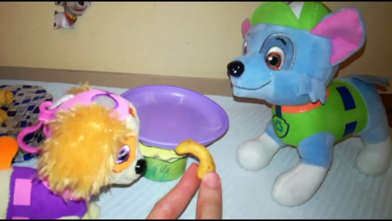 Patrolne šape u školi 1. deo