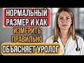 Уролог раскрывает правду: нормальный размер члена и как точно измерить длину и обхват