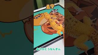 我ながらめちゃかわいい！！！！！！！！！