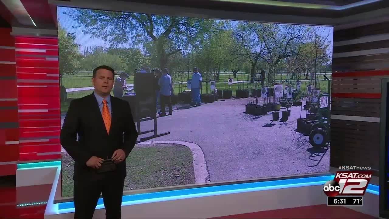 VIDEO: Tree recovery initiative kicks off for people impacted by storms