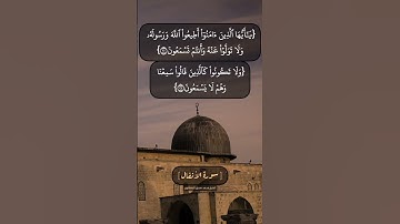 سورة الأنفال الآية ٢٠ الى ٢٣ بصوت الشيخ محمد صديق المنشاوي
