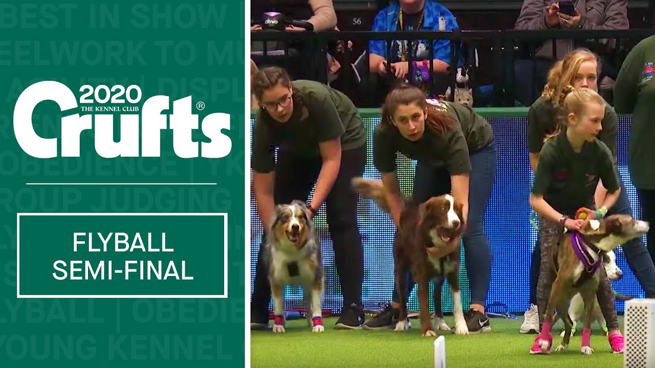 ykc crufts