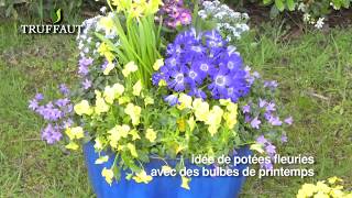 Planter des bulbes d'été à fleurs en pot -  Truffaut Resimi