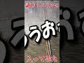 釣りをしてたら、トンネルを見つけたので入ってみた。