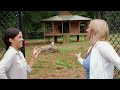 Inside the World’s Most Unusual Animal Relationships | The World's Oddest Animal Couples