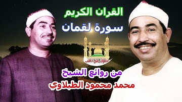 الشيخ محمد محمود الطبلاوي سورة لقمان