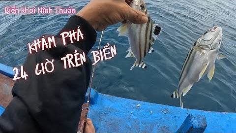 Khám Phá 24 Giờ Trên Biển | CÀ NÁ NINH THUẬN | Câu Cá