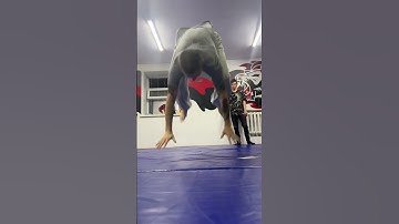 Combo break dance #bboy #breakdance #powertricks #footwork #powermove