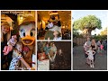 Walt Disney World Day 10 - Shopping, Animal Kingdom &amp; Tusker House with a new born and 7 year old