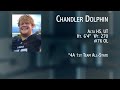 Chandler Dolphin