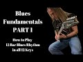 Blues Fundamentals Part 1: How to Play 12 Bar Blues Rhythm in all 12 Keys | Steve Stine LIVE