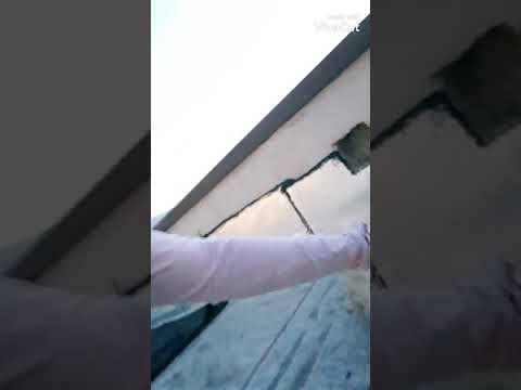 چند لحظه باجسی کیا مترسن ازسگ