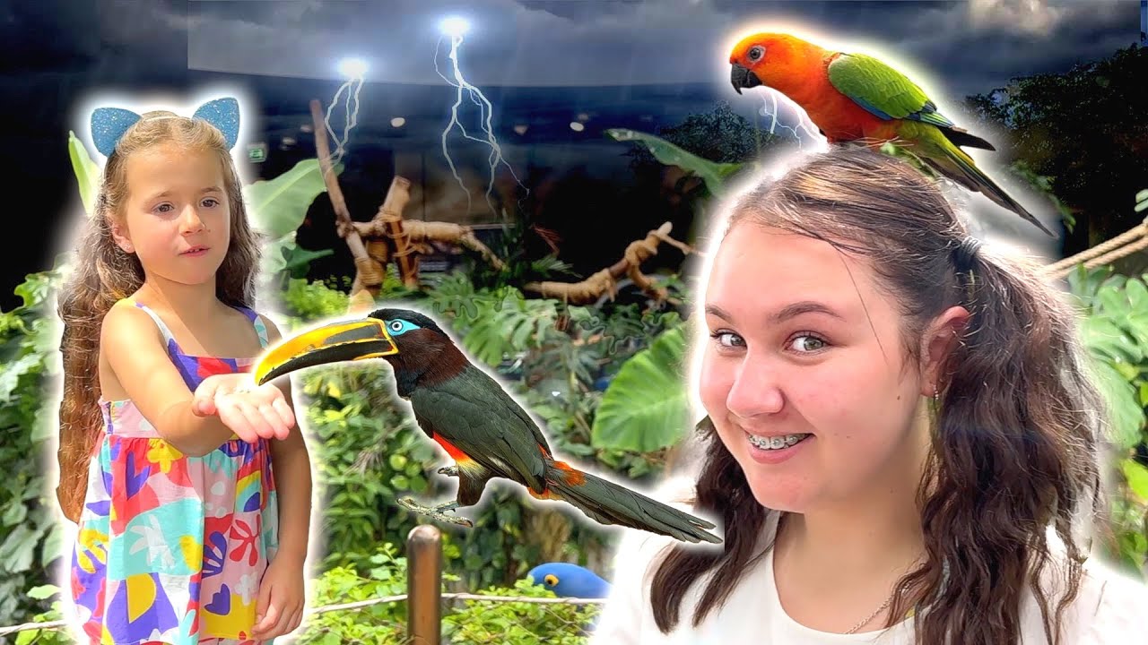 Ruby and Bonnie learn about the Tropical Rainforest - YouTube