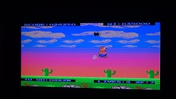 Shadow of the Pig  (MSXdev 2022) Dal 1° al 5° Livello