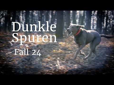 Dunkle Spuren: Wo ist Jenni? - Der Fall Jennifer Scharinger