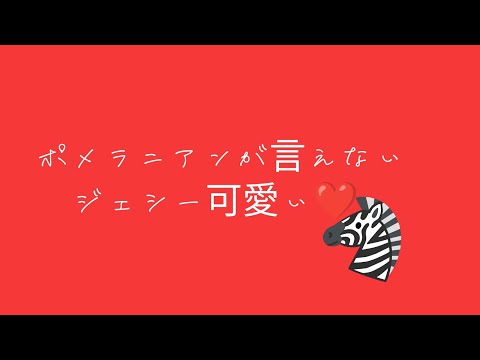 ジェシーの日本語苦手が可愛い❤