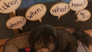 Intro to new series ~ Asking and Answering Questions with Literary Text