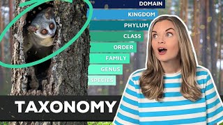 Classification of Living Organisms | Taxonomy