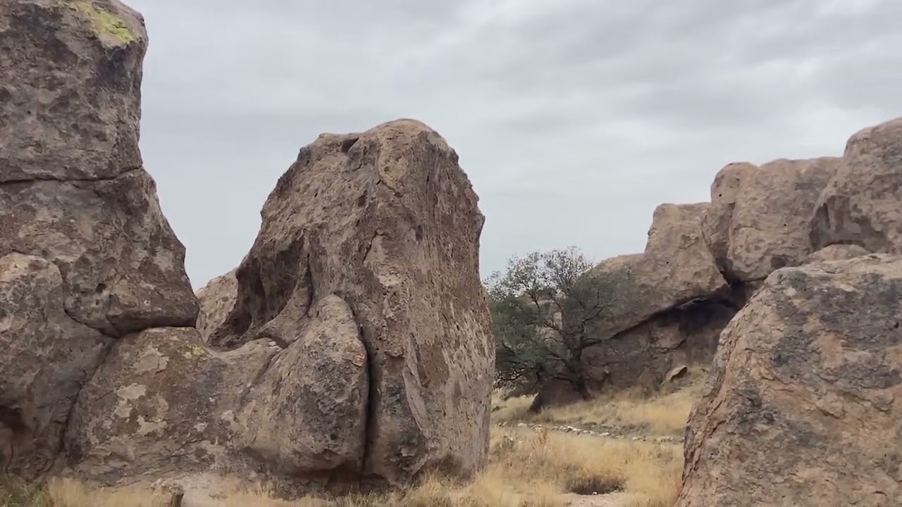 God has Blessed us beyond Belief for 7 years so far!