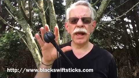 Black swift Sticks: The Raptor walking stick