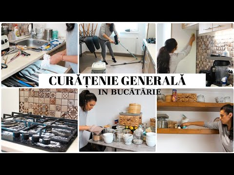 Video: Asigurați-vă propriul terariu frumos - 10 idei inspirate