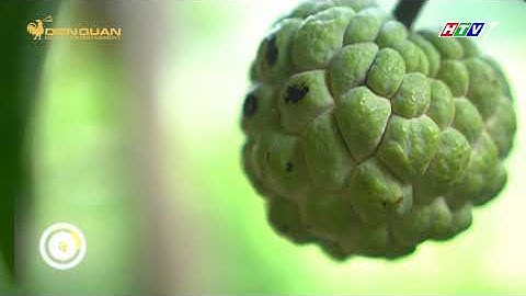 TỰ CHẾ RÒNG RỌC VẬN CHUYỂN NA TỪ NÚI CAO Ở LẠNG SƠN