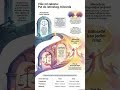 Pravednost veća od farizejske (Mt 5,20-26) #biblestudy #lectiodivina